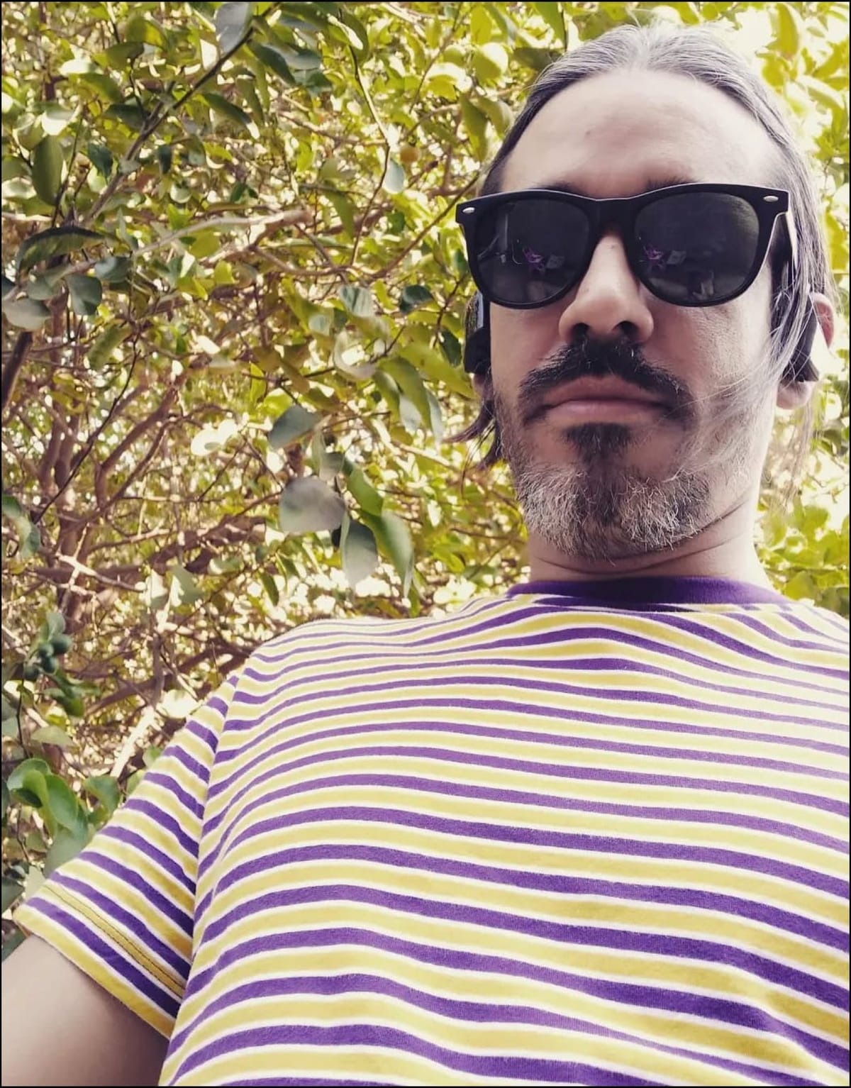 Zargov — foto de divulgação